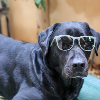 为数不多的黑五战利品🕶️...
