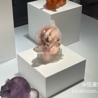 💎漫步休斯顿：Dreher家族宝石雕刻展...