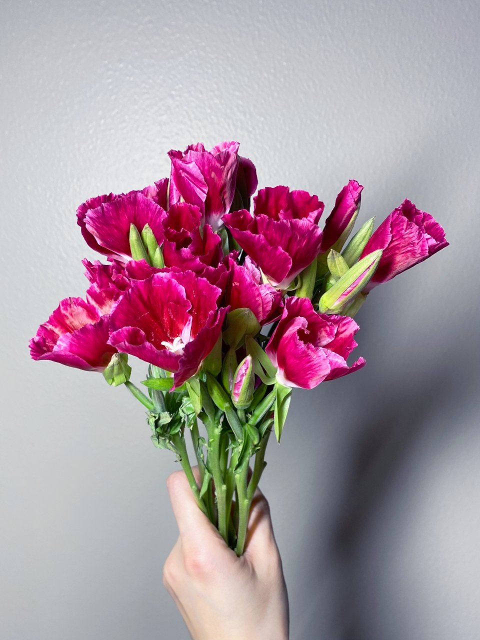 Seasonal Bouquet “仙女扇”