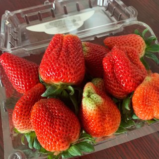 📣Aldi无敌新鲜草莓🍓💰$1.99...