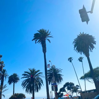 洛杉磯Santa Monica 超長海岸...