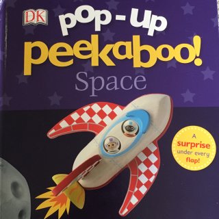 7. Pop-up Peekaboo童书...