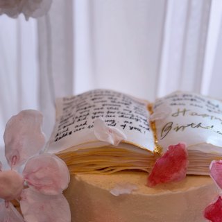 可以吃的书—女孩蛋糕...