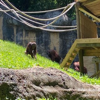 Zoo Atlanta