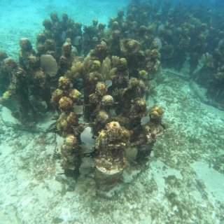 Isla Mujeres女人岛浮潜...