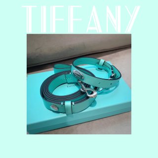 Tiffany & Co. 蒂芙尼,萌宠总动员