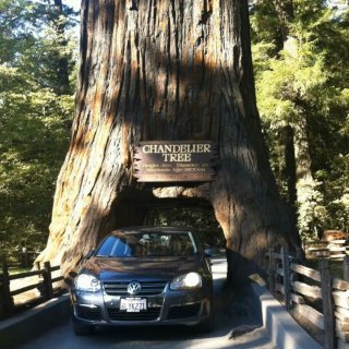 红衫国家公园Sequoia Nation...