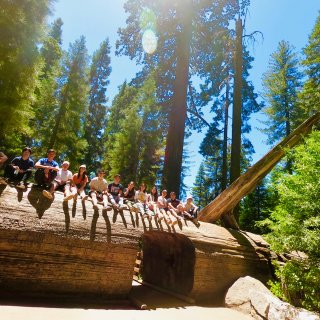 Sequoia国家公园一日游攻略🌲...