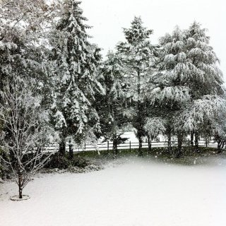❄️雪景❄️
