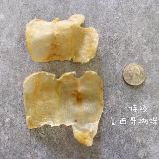熊猫众测｜试吃“海洋人参” 炖鸡汤...