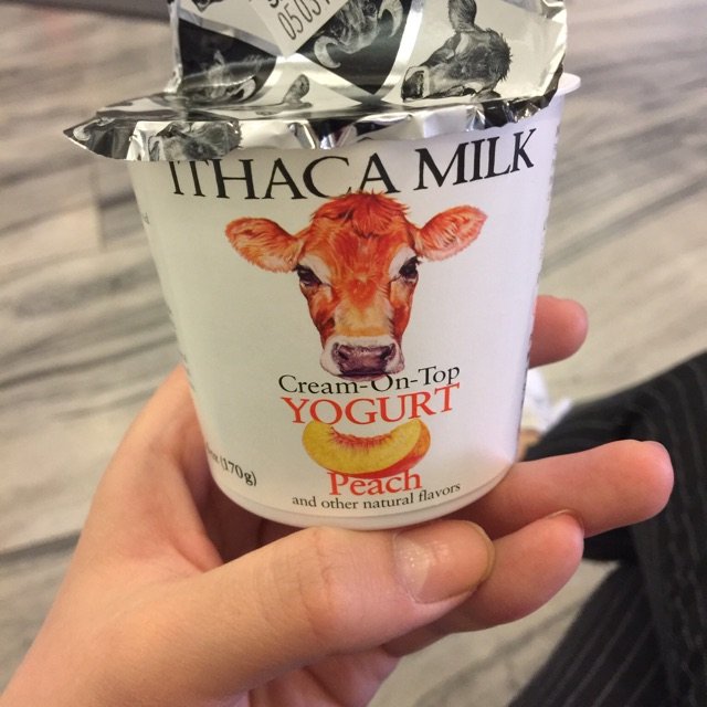ithaca milk