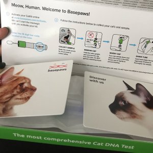 Basepaws 猫咪DNA测试