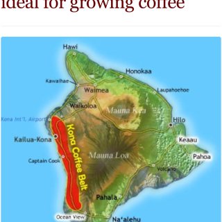 【夏威夷大岛】到Kona必喝的100%K...