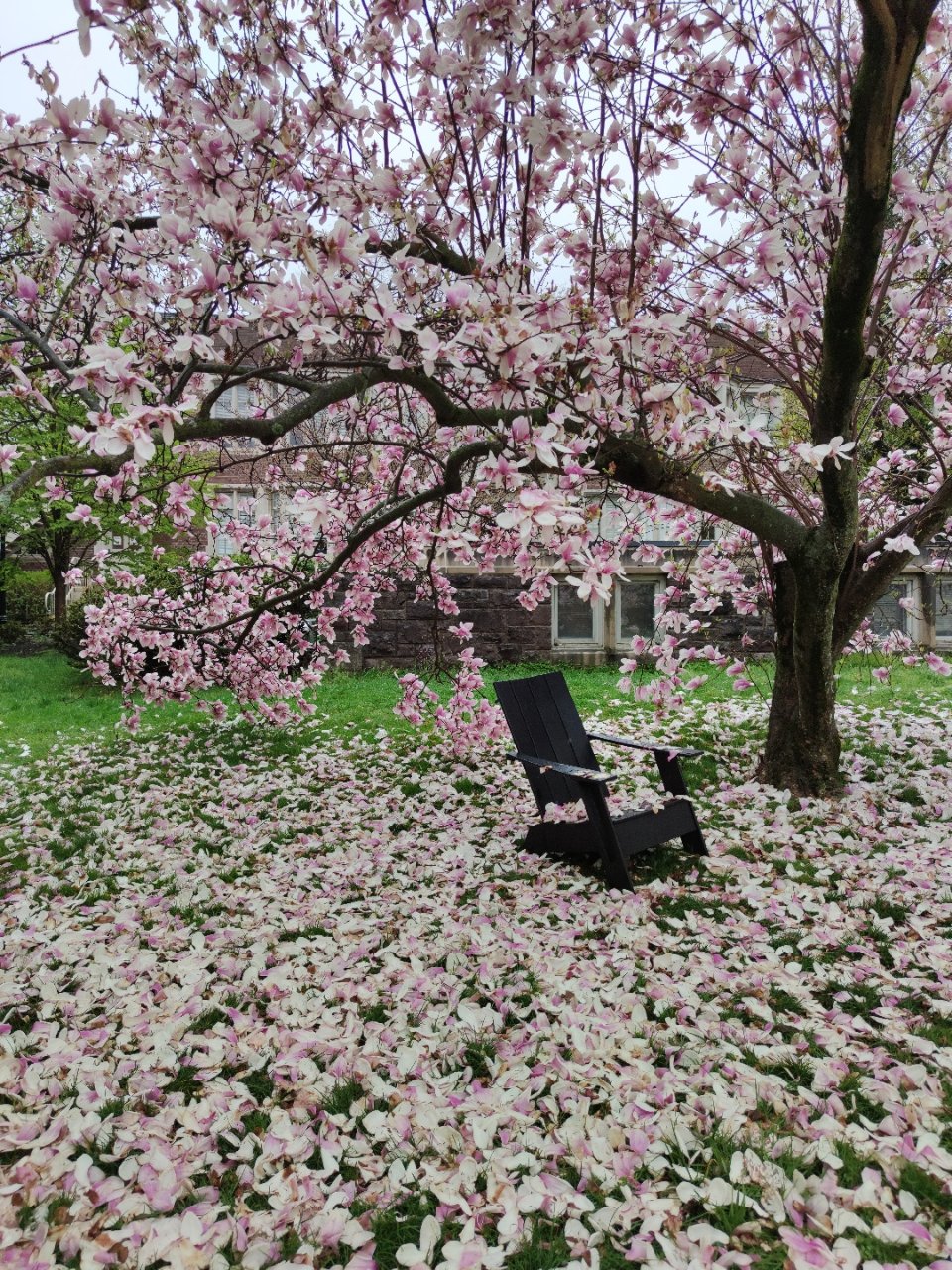 你好春天💮🌺🌱🌸...