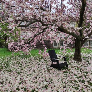 你好春天💮🌺🌱🌸...
