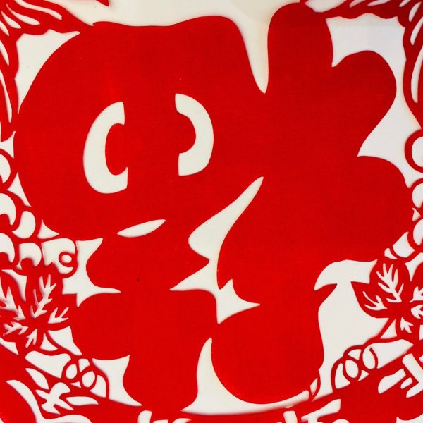 晒货图片
