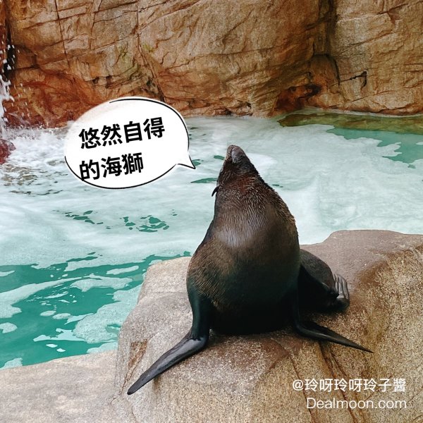 晒货图片