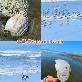 🌊三藩市/Ocean Beach 🏖 ...