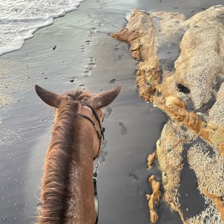 波多黎各旅游｜Vieques骑马—体验惊...