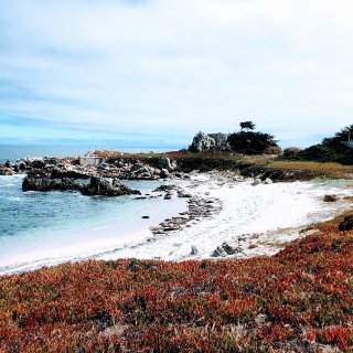 夏季避暑圣地——加州Monterey(含...