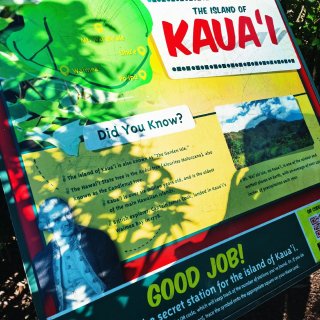 世界最大的Maze原来就在夏威夷都乐植物...