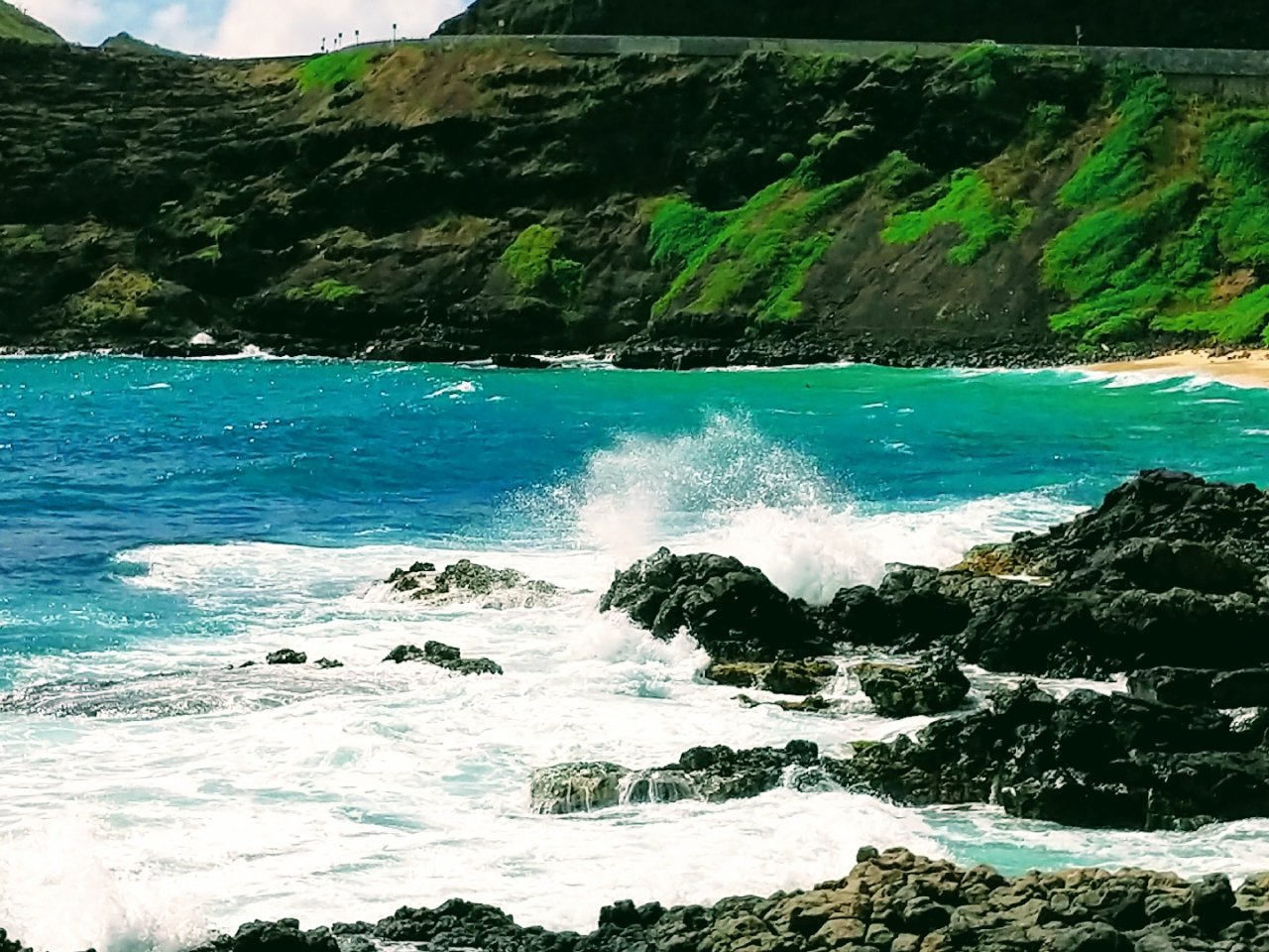 #夏威夷Oahu欧胡岛| 黑色岩石的Ma...