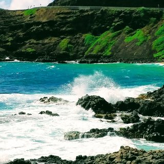 #夏威夷Oahu欧胡岛| 黑色岩石的Ma...