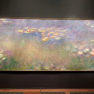 Monet the late year
