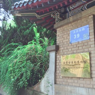 旅游推荐｜南京古生物博物馆...