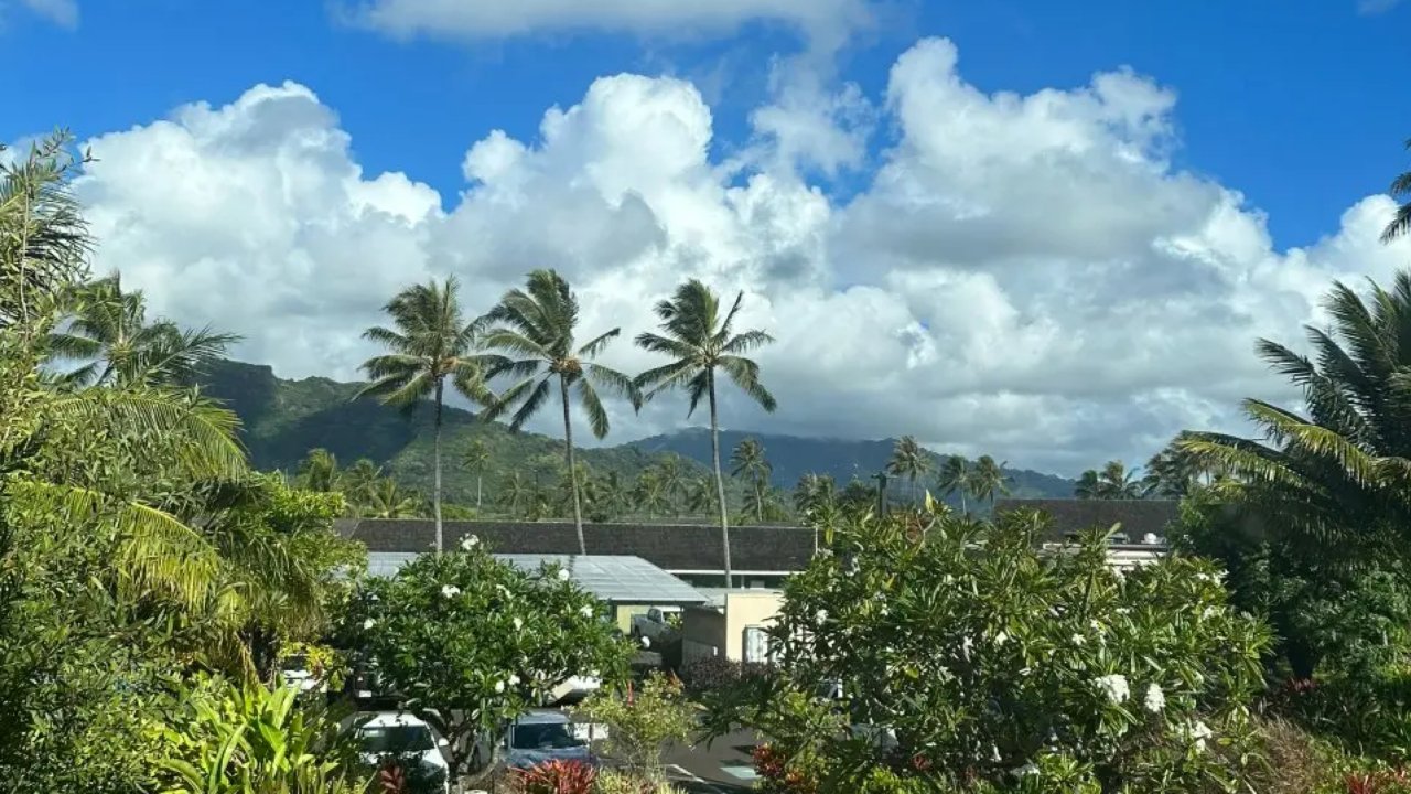 可爱岛Kauai旅行记-第三篇