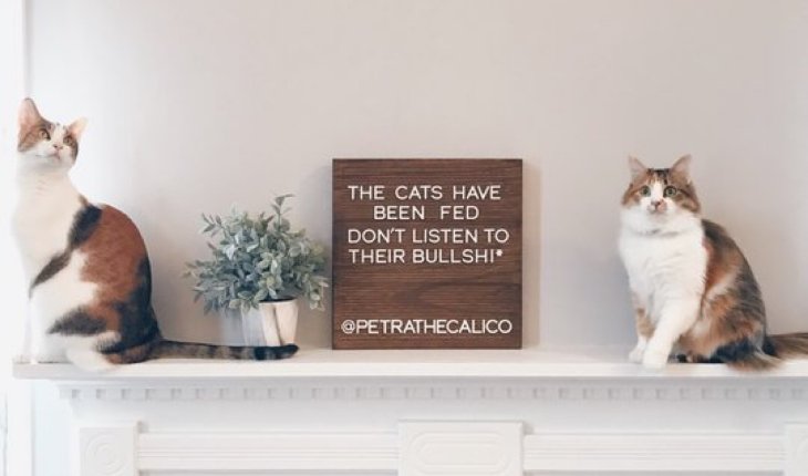 petrathecalico