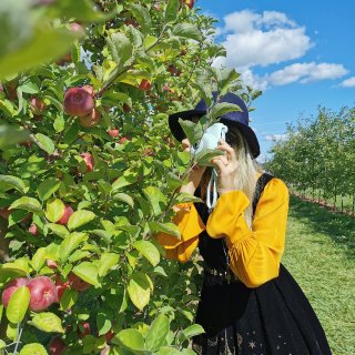 10-3🍎秋天的苹果...
