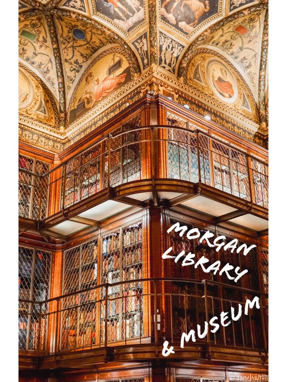 自制纽约博物馆分布图｜你找到摩根图书馆了...