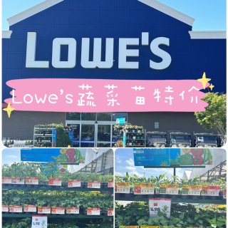 Lowe's，超级易养活的蔬菜苗特价🍀
...