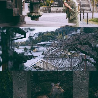 时光柔和于京都 | 分享日式电影滤镜...