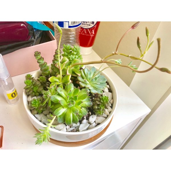 晒货图片