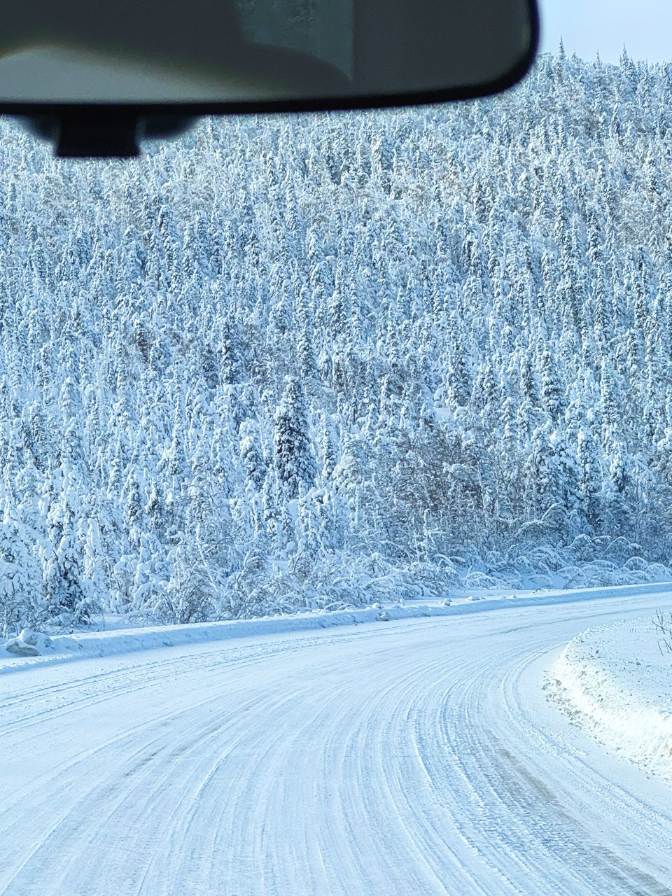 Alaska Trip-神秘北极圈🤍...