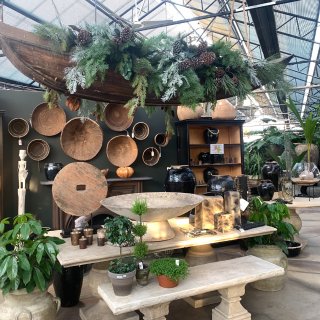 芝加哥市区最美园艺店🌳这是个室内植物园吧...
