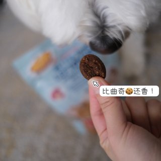 Plog｜狗狗美味零食...