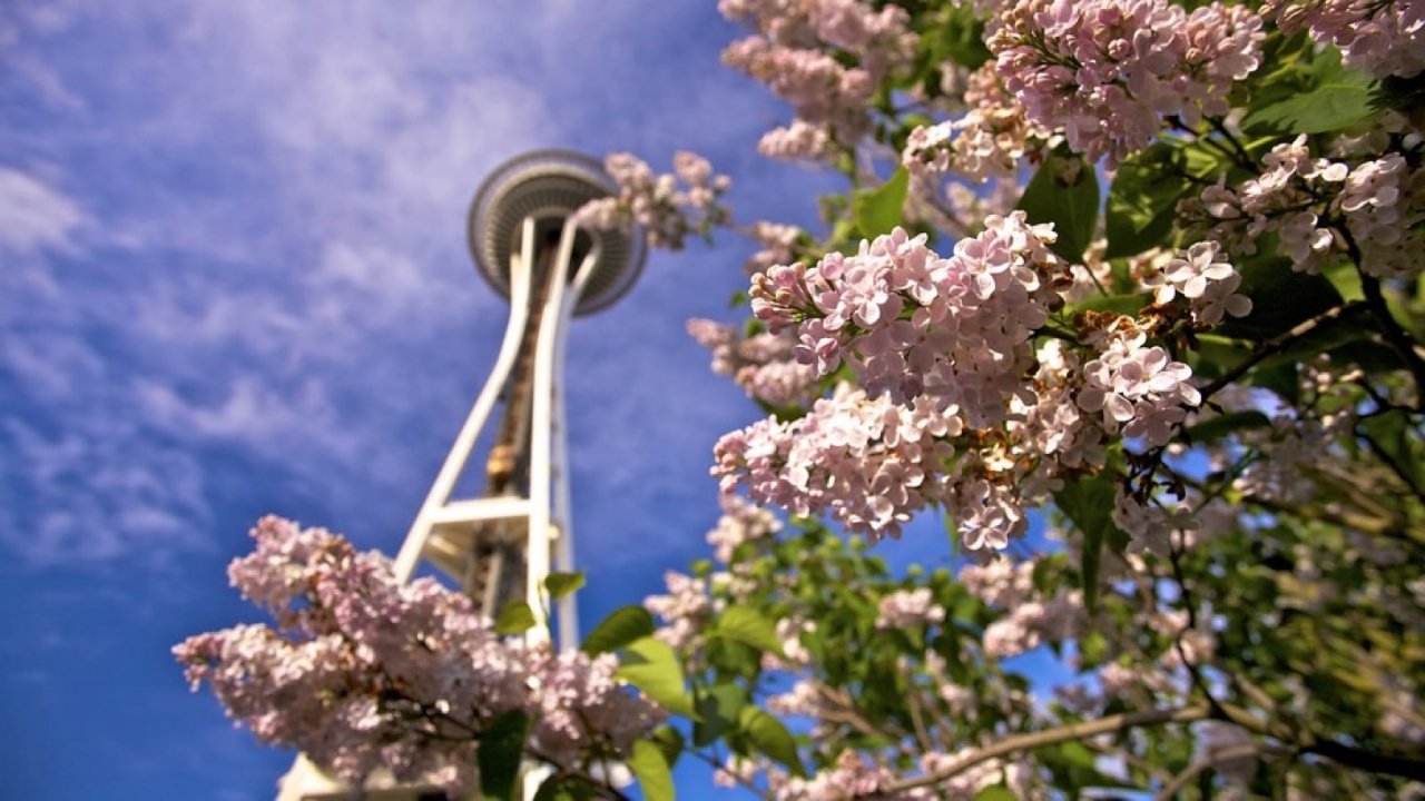 赏花地图 | 西雅图免费春季赏花花园Garden集合（一）