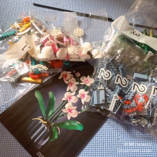 【LEGO】兰花盆景买了吗...
