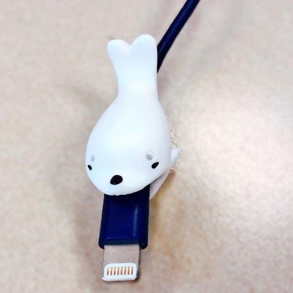 晒货图片