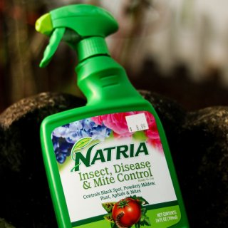 NATRIA Insect, Disease and Mite Control, Ready-to-Use, 24 oz : Patio, Lawn & Garden