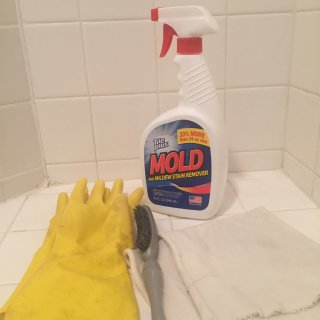 清理浴室霉菌
