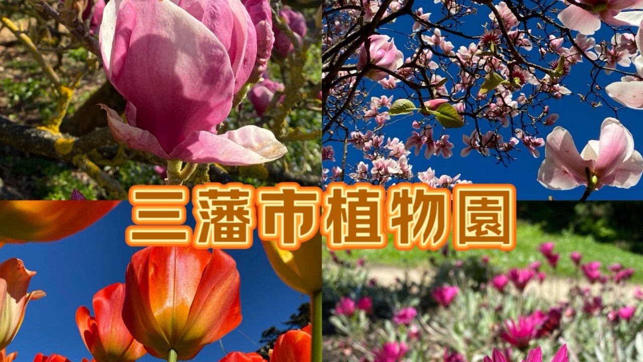 三藩市植物園踏春賞花
