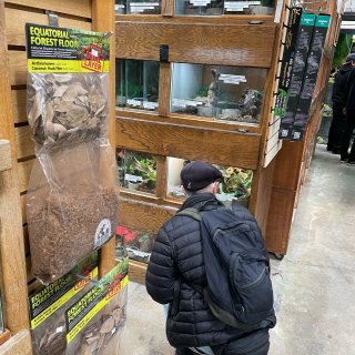 Berkeley爬虫店：神奇动物在这里！...