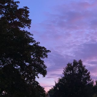 🌈紫色 属于傍晚🌆的天空...