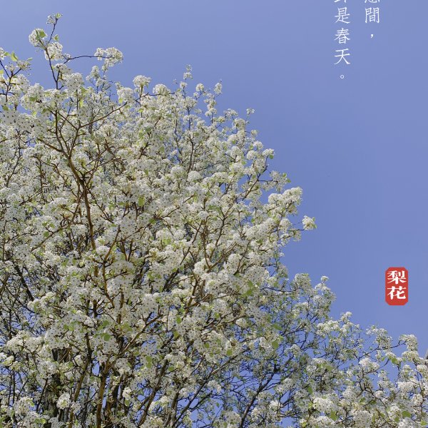晒货图片