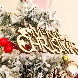 我的mini粉色雪松圣诞树🎄好漂亮😍...