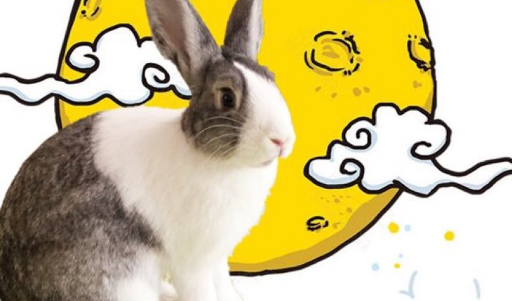 栗子_bunny